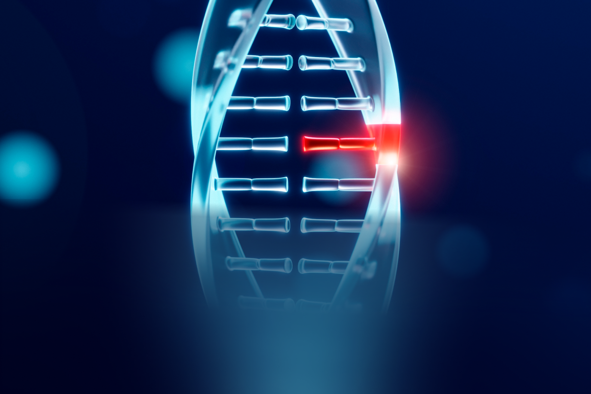The MTHFR Gene: Why 40% of People Can't Efficiently Process Folic Acid   Rho Nutrition