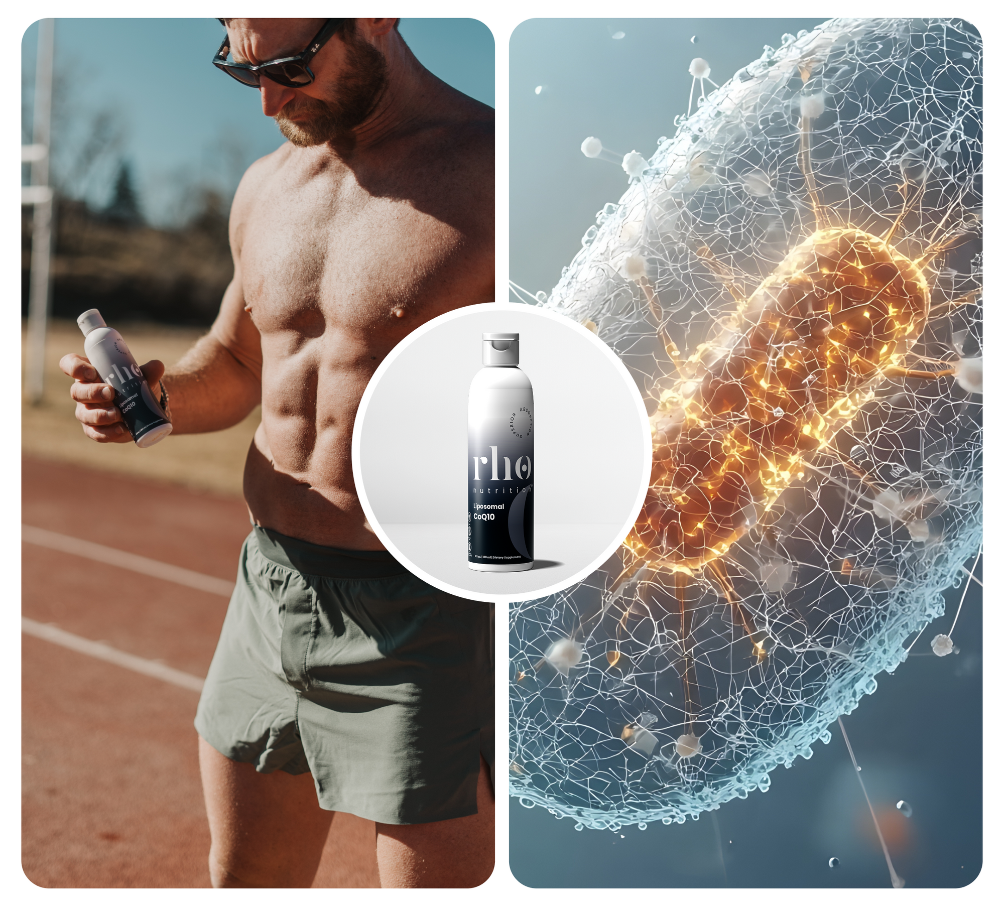 CoQ10 Product
