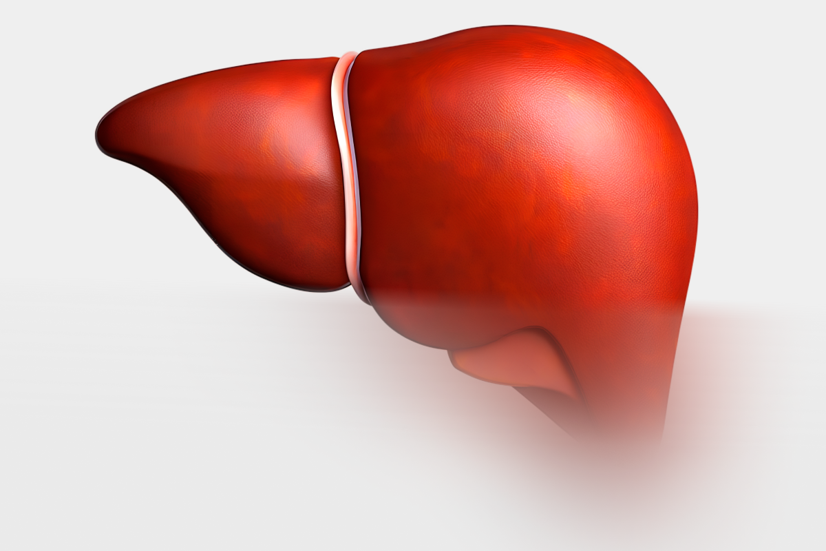 does glutathione help detox the liver for and Support: What Research Suggests – Rho Nutrition Cagrilintide - S1 Labs concern-expression-lines Package Size:1 kg (2.2 lb)