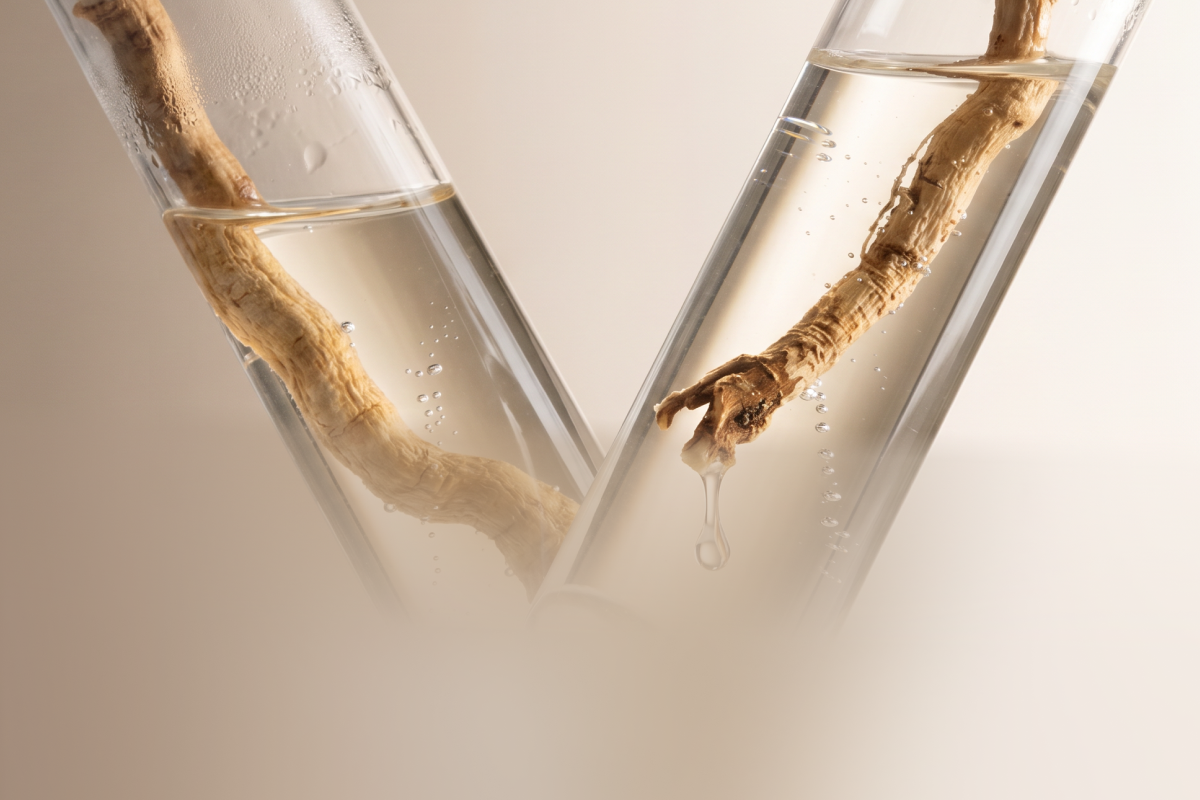 Tongkat Ali: What It Is and How It Supports Hormonal Vitality – Rho ...