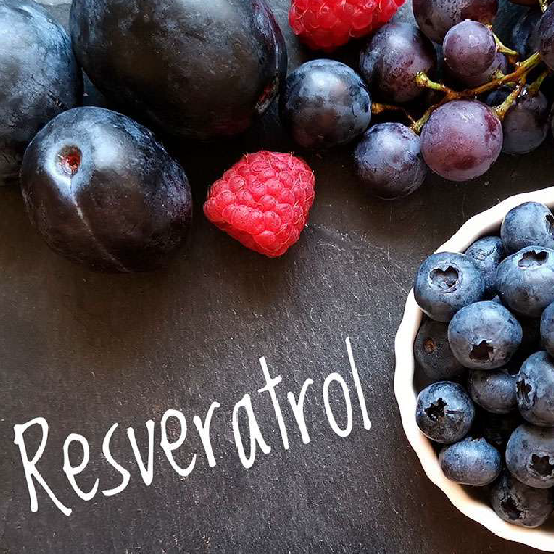 Resveratrol The Longevity Antioxidant Rho Nutrition