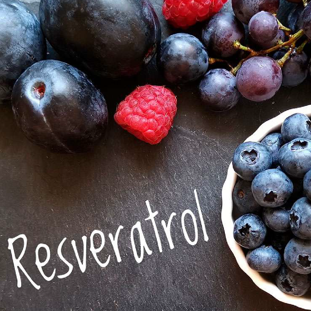 Resveratrol - The Longevity Antioxidant