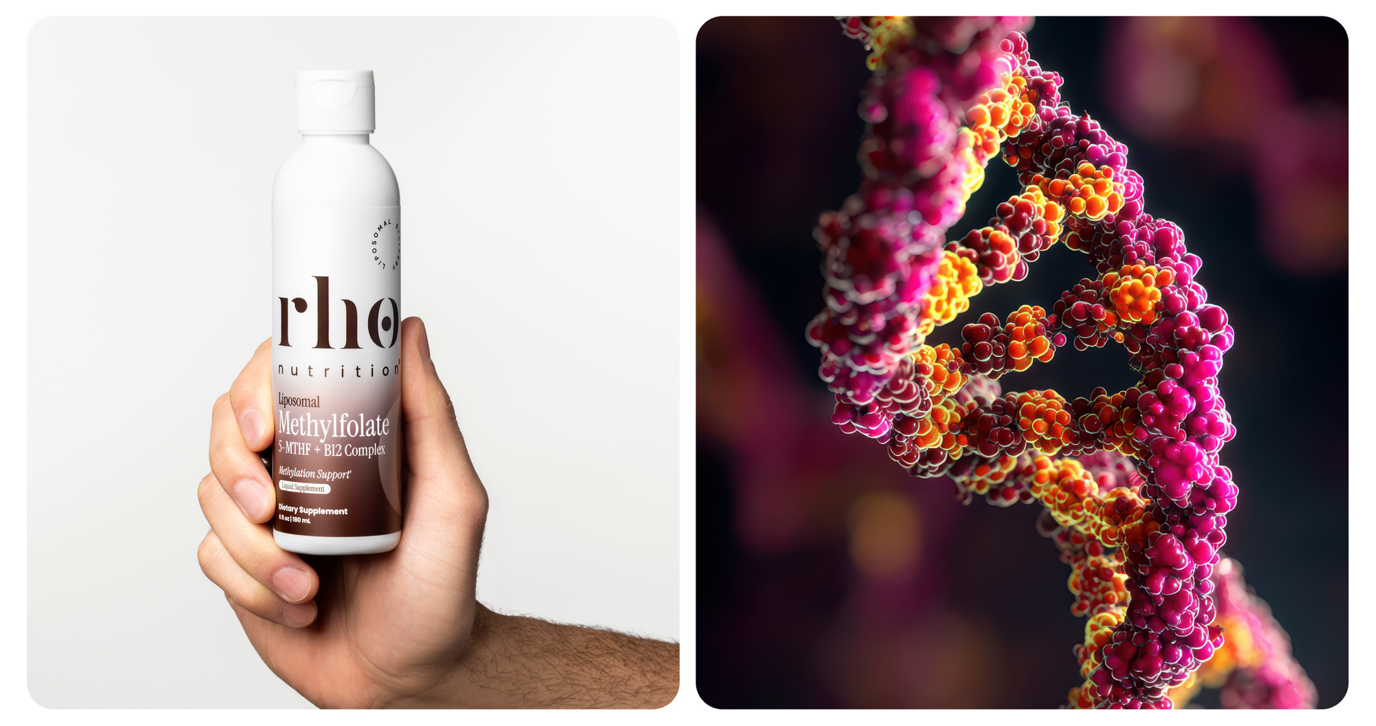 CoQ10 Product
