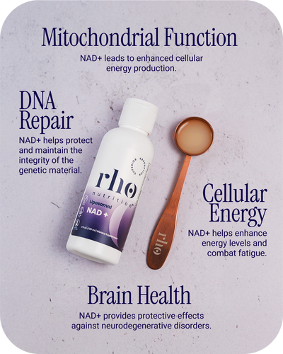 Liposomal NAD+