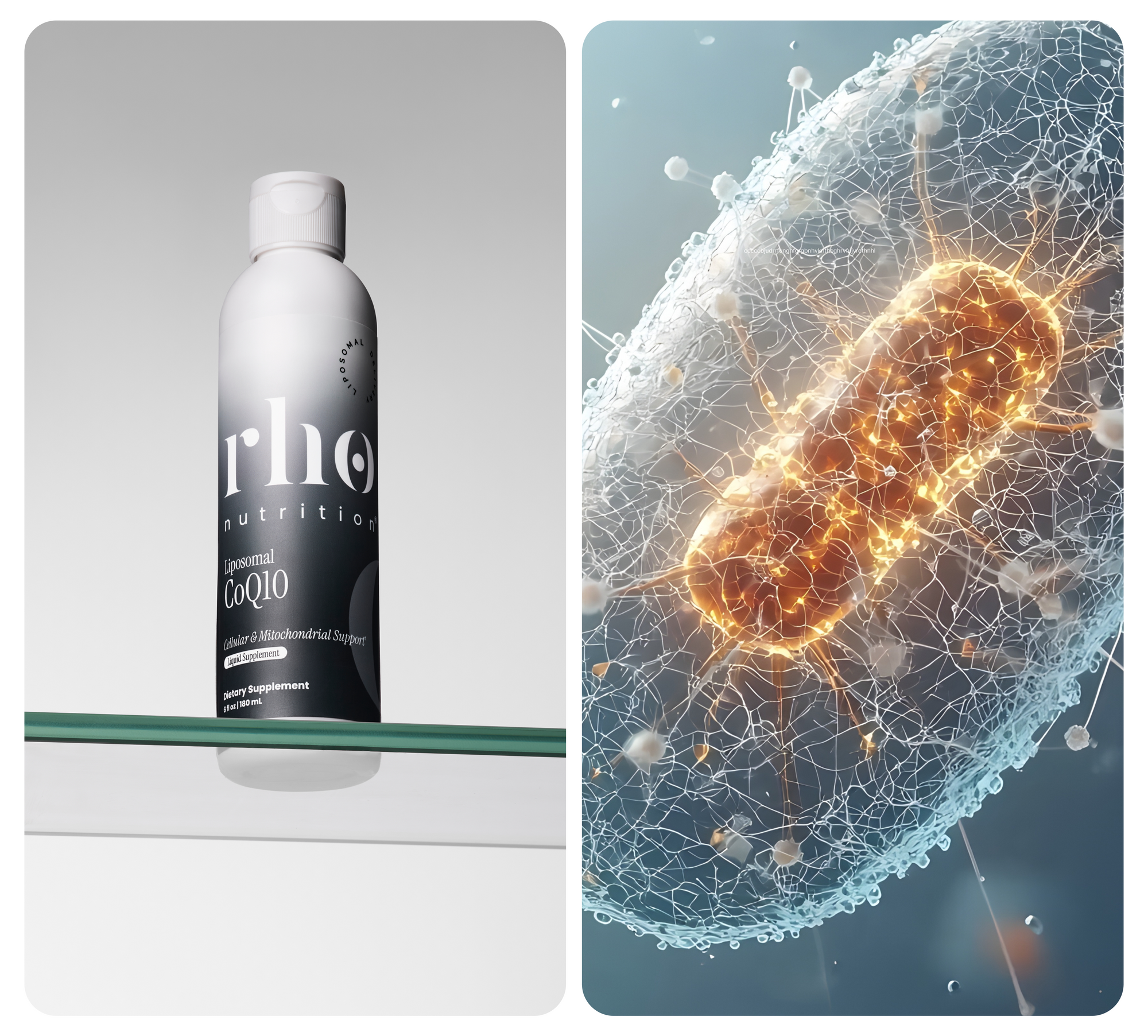CoQ10 Product