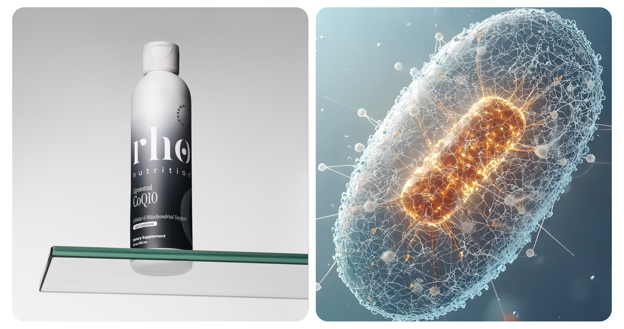 CoQ10 Product