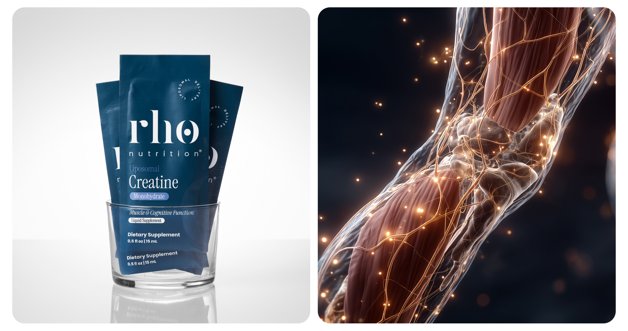 CoQ10 Product