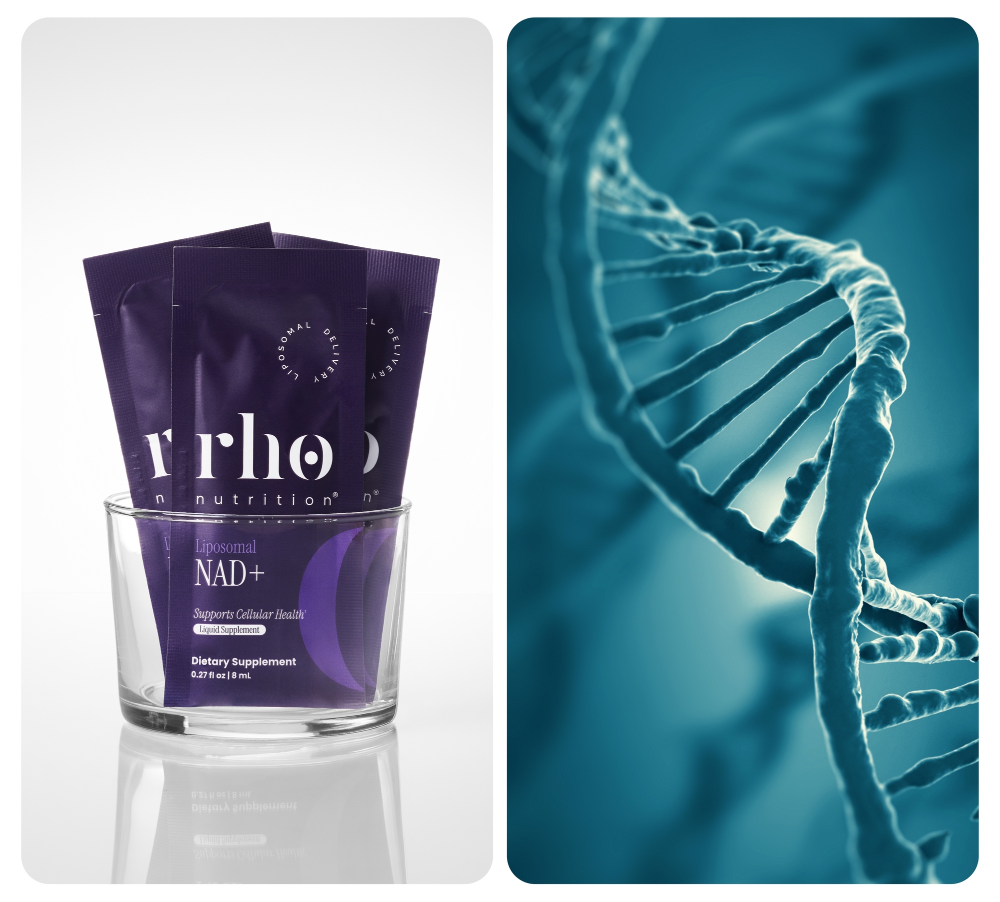 CoQ10 Product