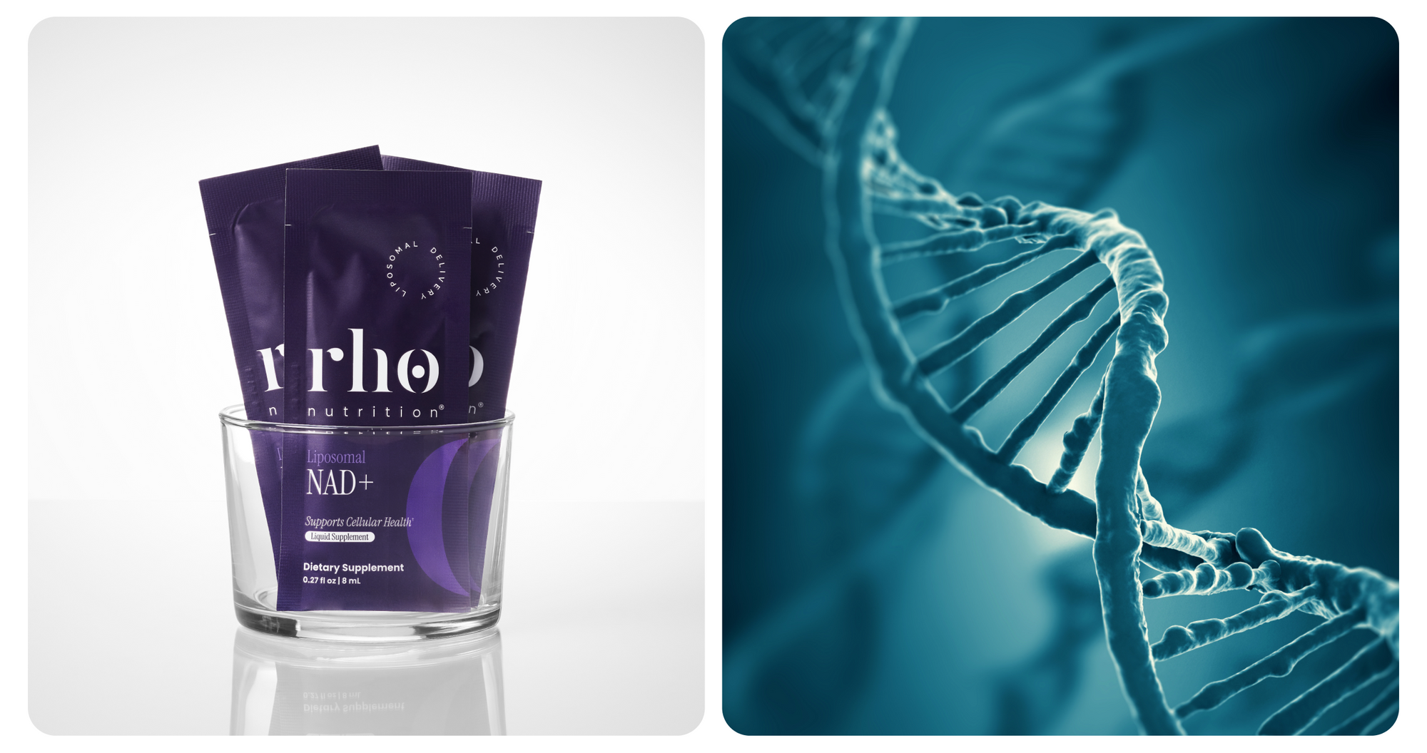 CoQ10 Product