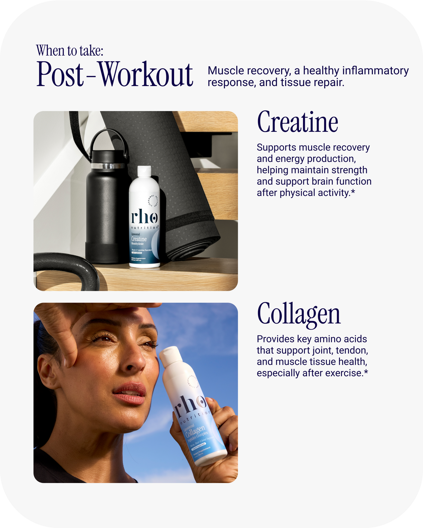 Total Rho Stack by Rho Nutrition | All-in-One Wellness & Performance Bundle